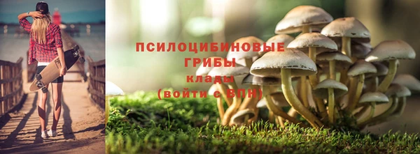 2c-b Балабаново