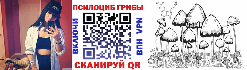 Псилоцибиновые грибы мицелий  Устюжна 